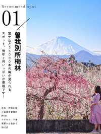 2月のお出かけにおすすめ 全国おすすめ梅スポット5選