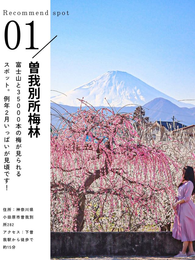 2月のお出かけにおすすめ 全国おすすめ梅スポット5選