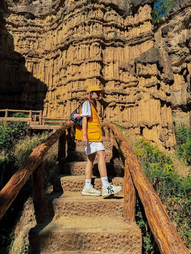 🇹🇭 ‘ผาช่อ’ ที่เที่ยวเชียงใหม่ที่ไม่ควรพลาด