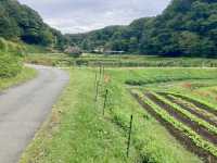 National Akashi-kaikyo Park Kobe Dist.