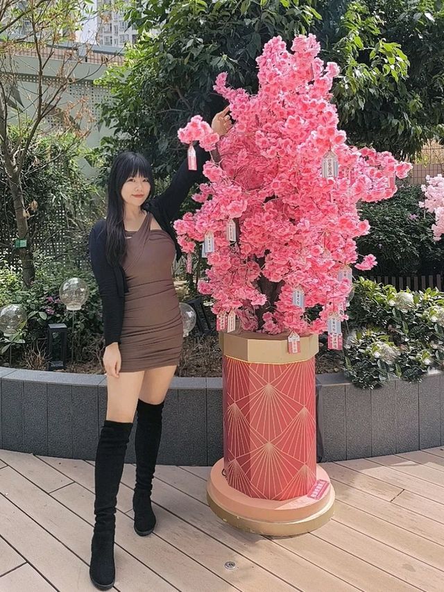 🐱喵の福財運🌟速速報到！！