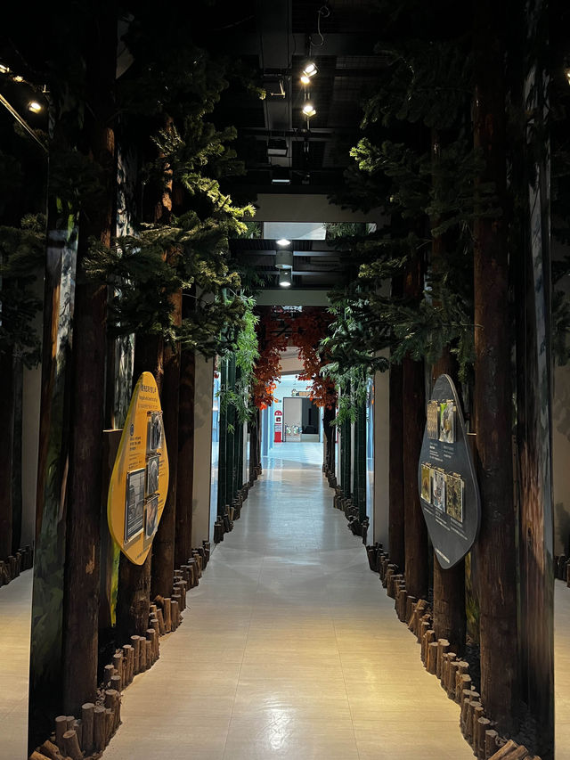 南投 寓教於樂博物館只要銅板價！