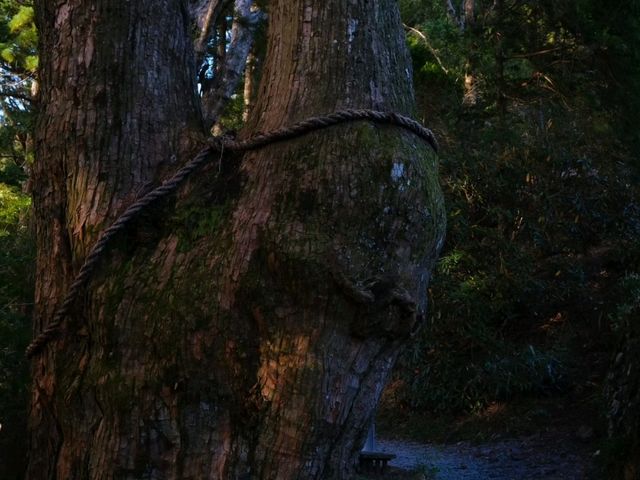 【十津川村】（奈良県十津川村　旧国名：大和）