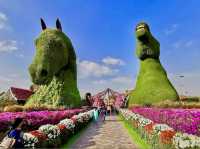 Dubai Miracle Garden 