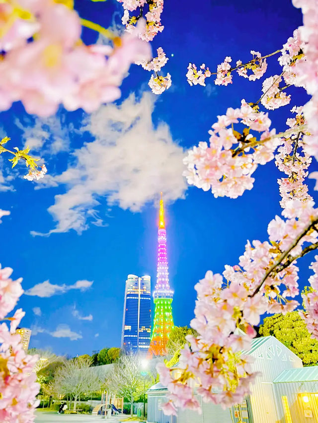 【東京】今だけ!!夜桜×東京タワーの最強コラボ