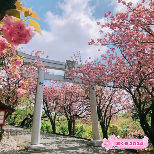 光の道で有名な宮地嶽神社