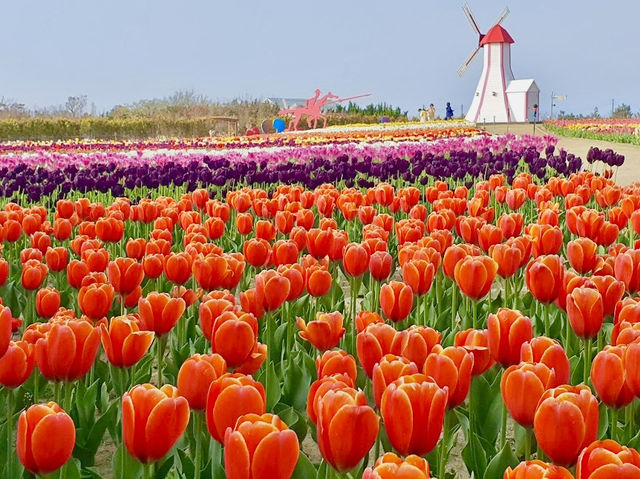 Sinan Tulip Festival 