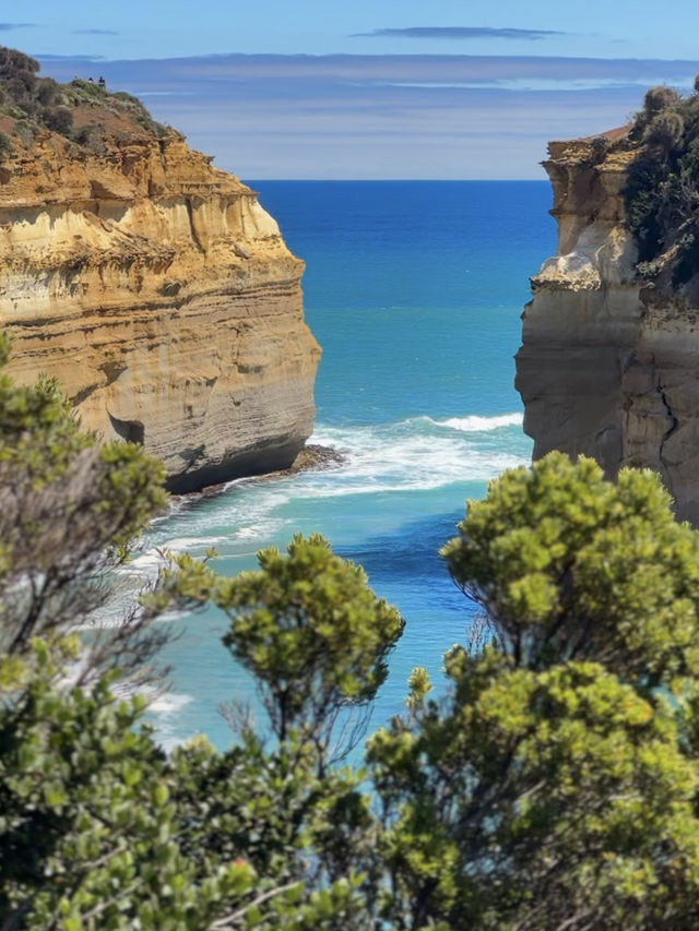 호주 멜버른 그레이트오션로드🇦🇺