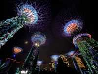 Gardens by the Bay สวนต้นไม้ แห่ง สิงคโปร์ 