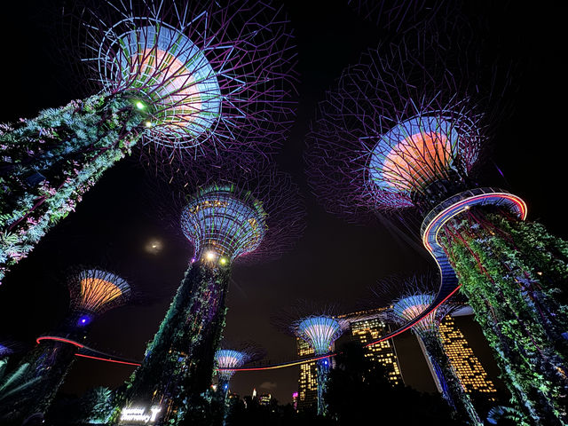 Gardens by the Bay สวนต้นไม้ แห่ง สิงคโปร์ 