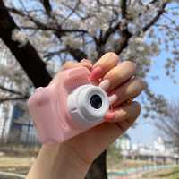 2024 벚꽃 어디로 보러갈까?