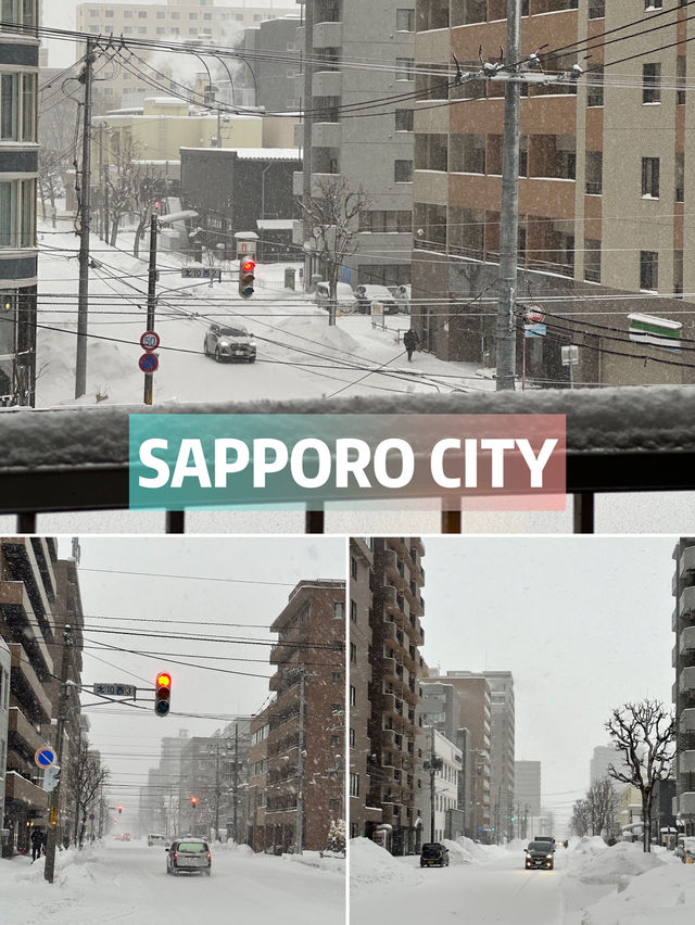 10 must-do activities in Sapporo