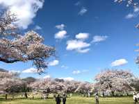 東京國營昭和紀念公園