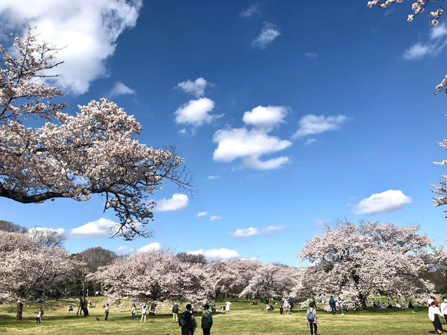 東京國營昭和紀念公園