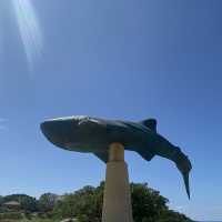 【日本沖繩】美麗海水族館🪸超美海洋生物🐬