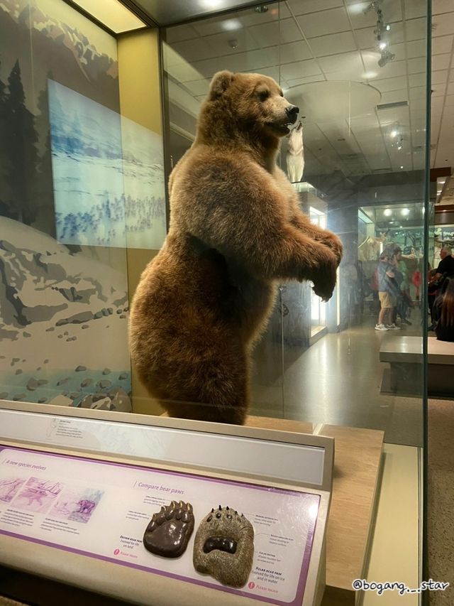 워싱턴DC 무료입장 Museum of Natural History