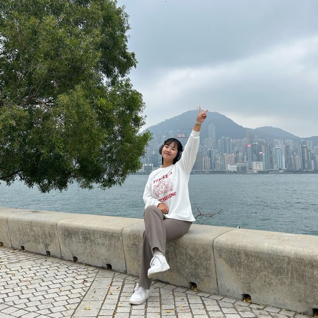 홍콩 서구룡 문화지역 아트파크 🌳