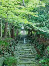 【山口】紫陽花寺の別名を持つお寺