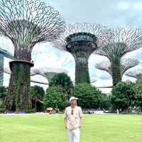 Garden by the bay 