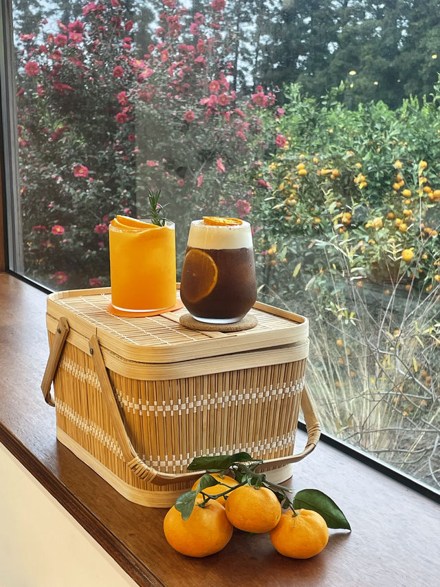 비가와도 귤따기 체험가능한 카페 <카페더콘테나> 🍊