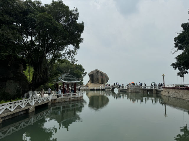 菽莊花園：花海中的夢幻仙境