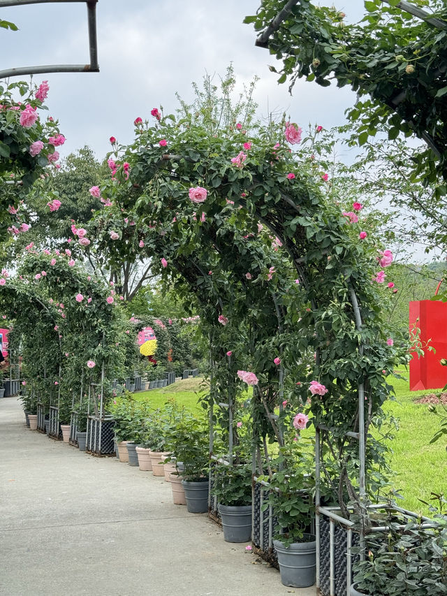 💐 Manhua Manor • Chengdu 