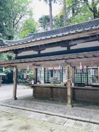 【新潟県】新潟県随一のパワースポット彌彦神社！