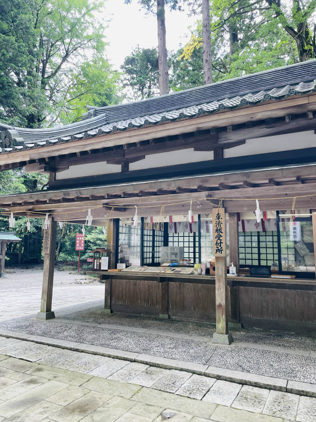 【新潟県】新潟県随一のパワースポット彌彦神社！