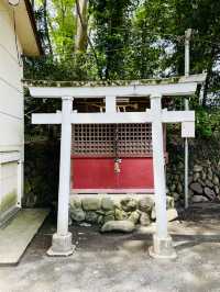 【拝島日吉神社/東京都】カラフルな色彩の本殿彫刻が必見！