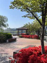 경산에서 뷰가 가장 예쁜 산책 명소 ❤️
