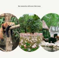 「東京江戶川區自然動物園：原始自然之美與動物保護的獨特景點」