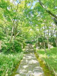 【静岡/熱海】MOA美術館　グルメ編