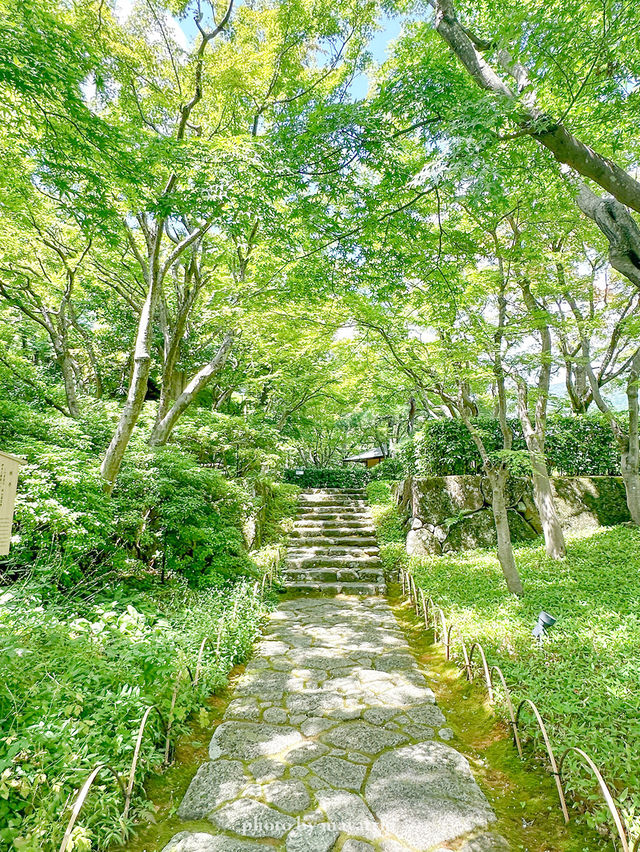 【静岡/熱海】MOA美術館　グルメ編