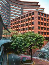 母親節的校園漫步 —— 香港理工的詩意時光