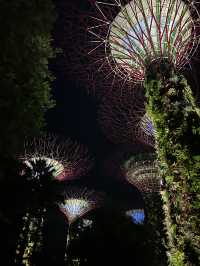 ไปชมโชว์ไฟ ที่ Garden by the bay ✨🌳