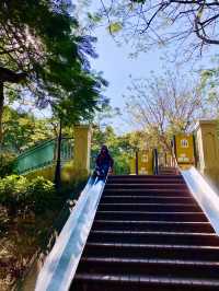 【大嶼山】愉景灣：探索悠閒時光的郊遊之旅