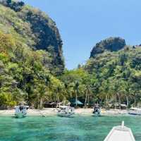 Discovering the Wild Beauty of Snake Island 🏝️ 