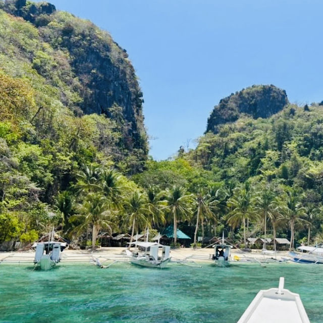Discovering the Wild Beauty of Snake Island 🏝️ 