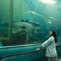 RAYONG AQUARIUM  