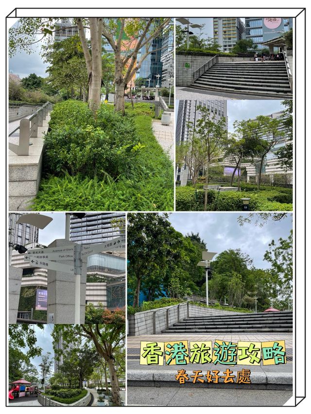 🎪🌟 尖沙咀中樂道奇趣遊樂場：盡享家庭歡樂時光！🤹‍♀️🎉