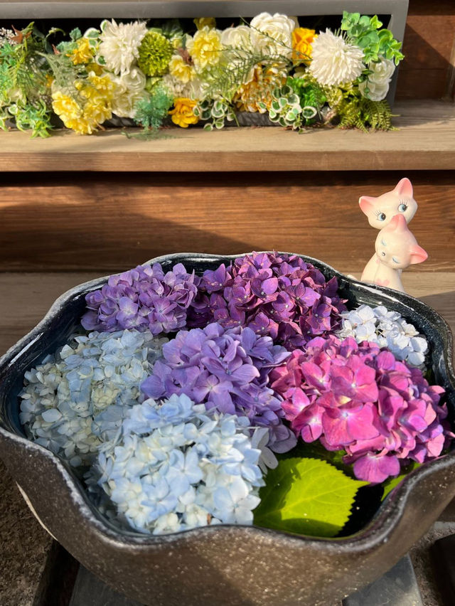 【東京】可愛すぎるあじさい寺