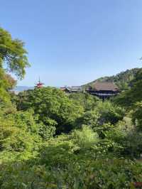 【京都】公式おすすめの絶景ポイント