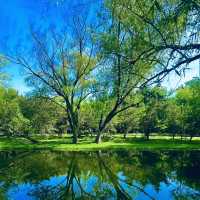 廣州流花湖公園：湖光山色，適合漫步欣賞