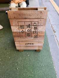 🧁🎀성수동 빵지순례 서울숲 빵집 성수베이킹스튜디오