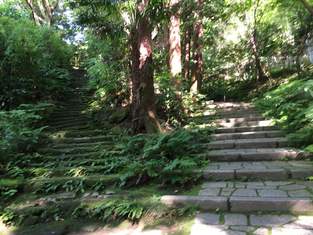 鎌倉瑞泉寺：靜謐與自然的融合
