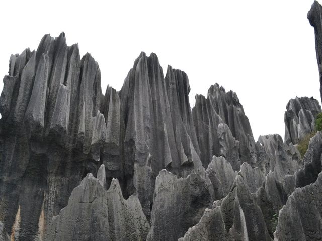 A magnificient stone forest formation, Shi-Lin Stone Forest