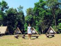 เที่ยวน่าน…เที่ยวอุทยานแห่งชาติดอยภูคา