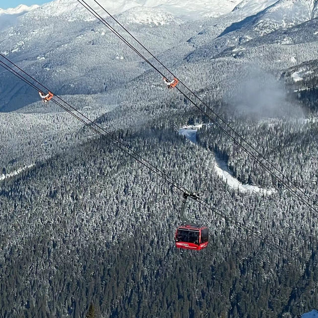 喜樂樂滑雪場：冬日童話世界