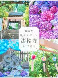 都内紫陽花映えスポット🪷🎐🎐🫧【法輪寺】