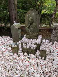 日本東京-來豪德寺帶隻招福貓回家吧！